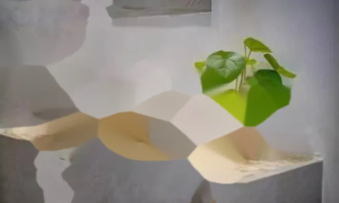 Недвижимость Apartment Pointe Croisette: 12