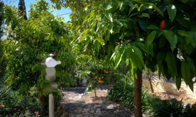 Недвижимость Villa Mougins: 6