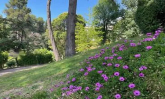 Недвижимость Apartment Cannes: 6