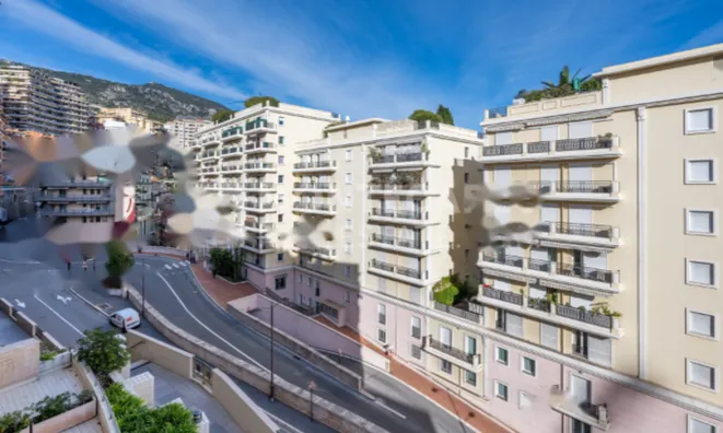 Недвижимость Apartment Monaco, Jardin Exotique: 11