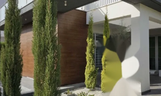 Недвижимость 3 Bedrooms Detached house For sale in Limassol: 2