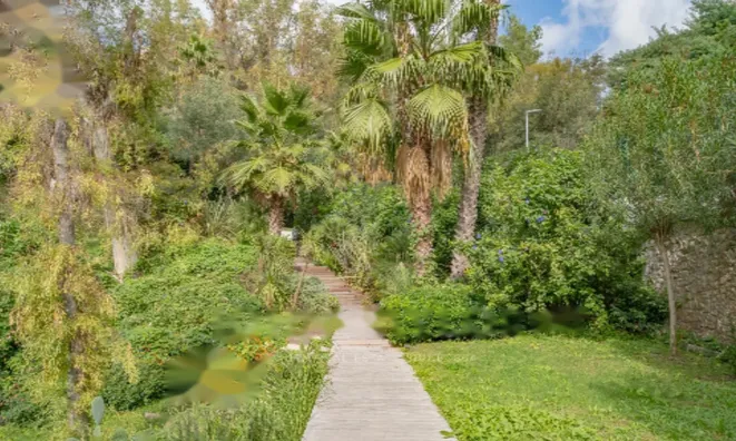 Недвижимость Maison Cannes: 6