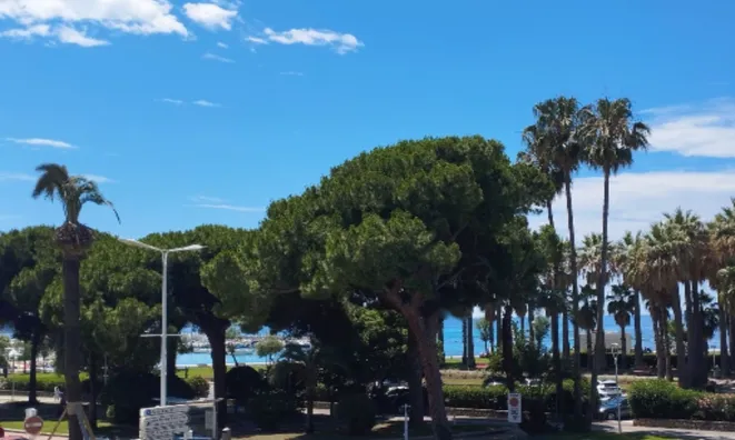 Недвижимость Apartment Pointe Croisette: 2