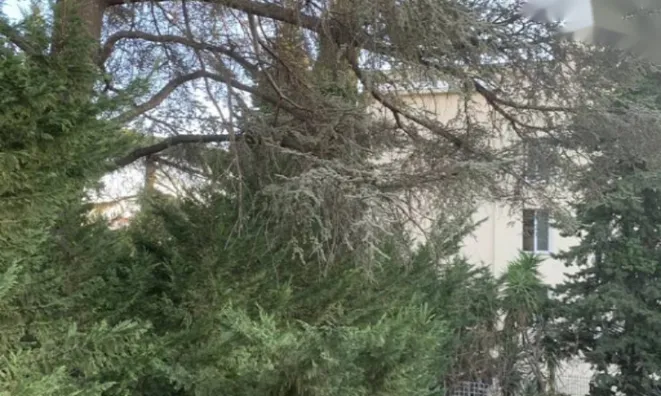 Недвижимость Apartment Cannes: 7