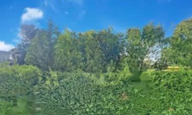 Недвижимость Apartment Cannes California: 5