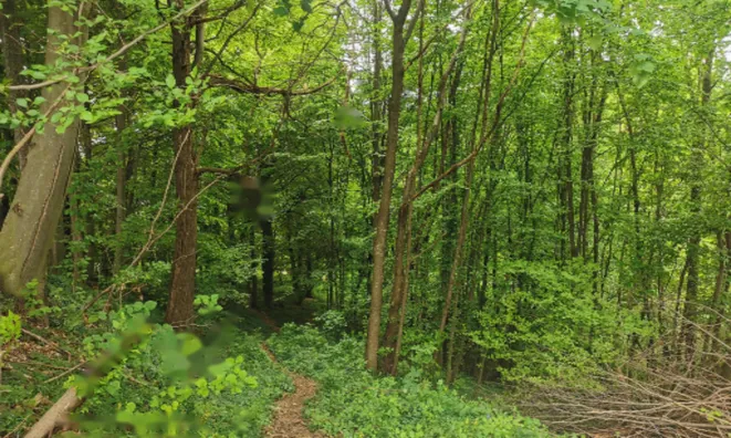 Недвижимость Дом Друго Чагона: 14