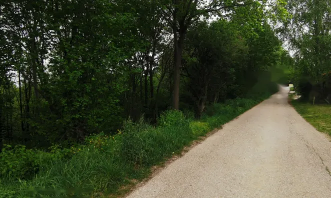 Недвижимость Дом Друго Чагона: 20