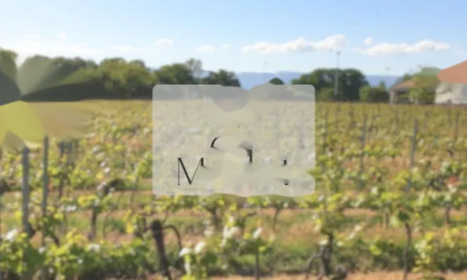 Недвижимость Villa 6 rooms: 1