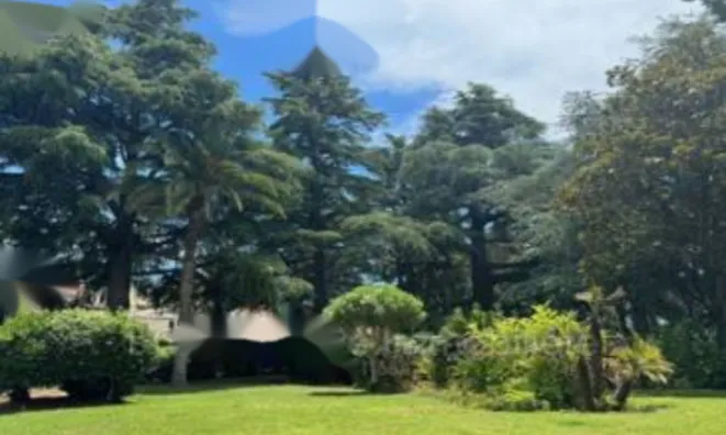 Недвижимость Apartment Cannes Gardes: 12