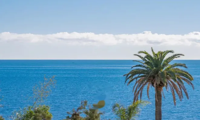 Недвижимость Apartment Pointe Croisette: 21