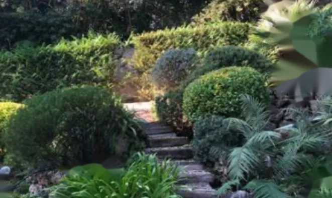 Недвижимость Apartment Cannes: 3