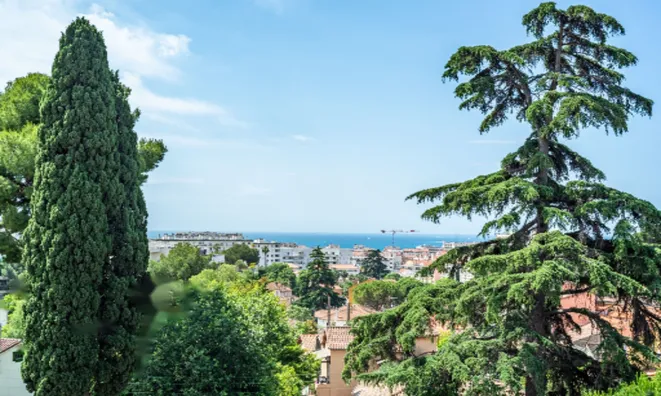 Недвижимость Maison Cannes Californie: 7