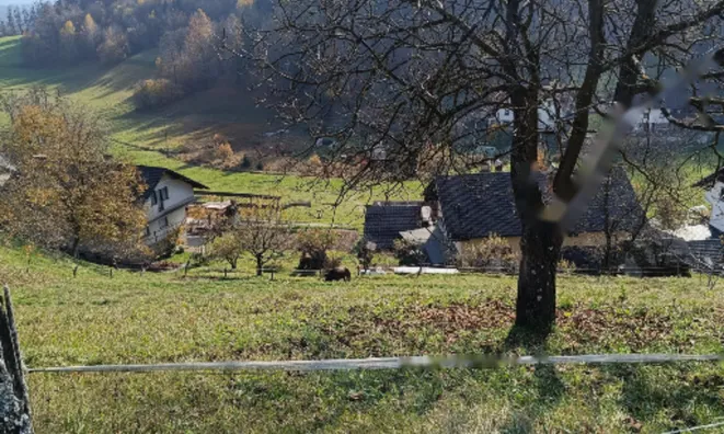 Недвижимость Участок под застройку в Нижнем Горе, Блед: 2