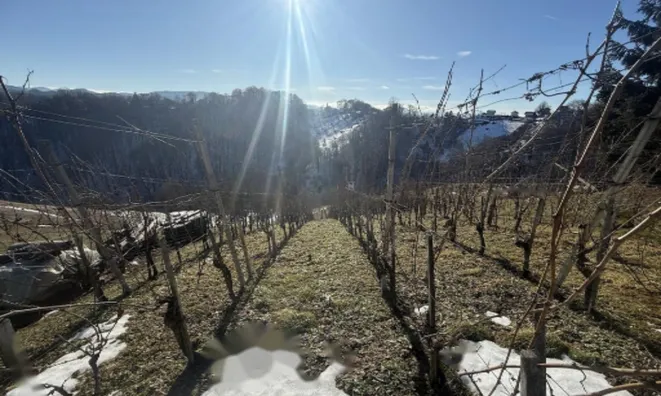 Недвижимость Дом на Белой вершине: 7