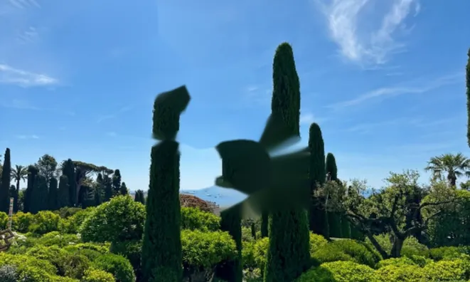 Недвижимость Duplex Cannes Croix Gardes: 18