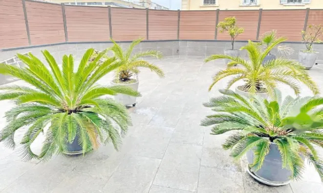 Недвижимость Duplex Cannes République: 5