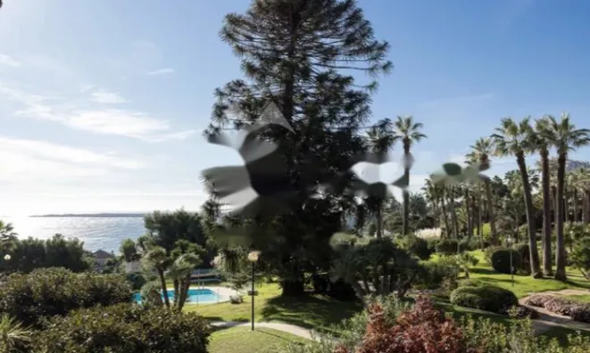 Недвижимость Apartment Cannes: 1