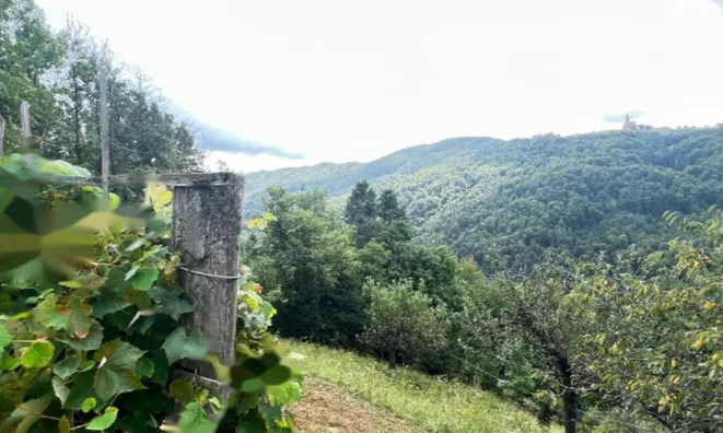 Недвижимость Дом на Бруншкой горе: 7