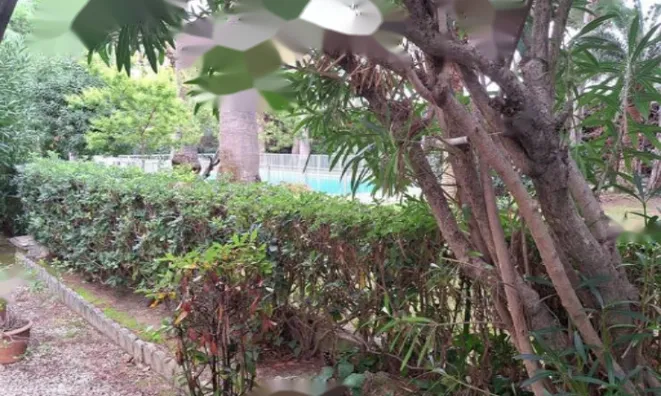 Недвижимость Apartment Les Golfe Juan: 14