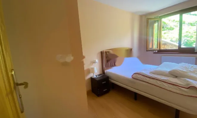 Недвижимость Furnished apartment in La Pleta de Soldeu: 10