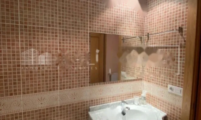 Недвижимость 1-bedroom furnished apartment in La Pleta de Soldeu: 11