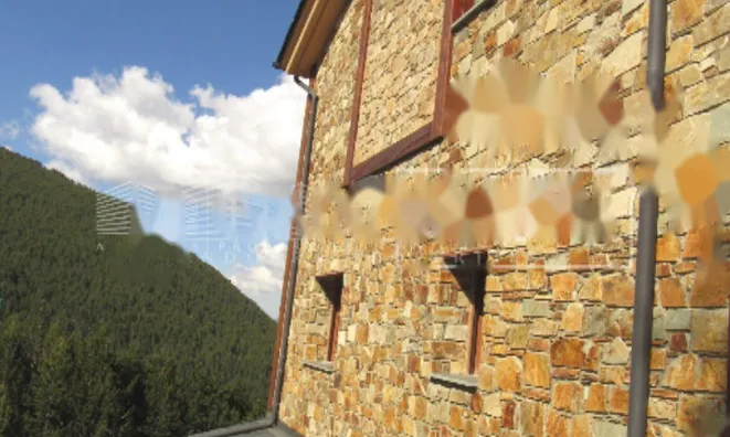 Недвижимость Magnificent large chalet in Canillo: 4