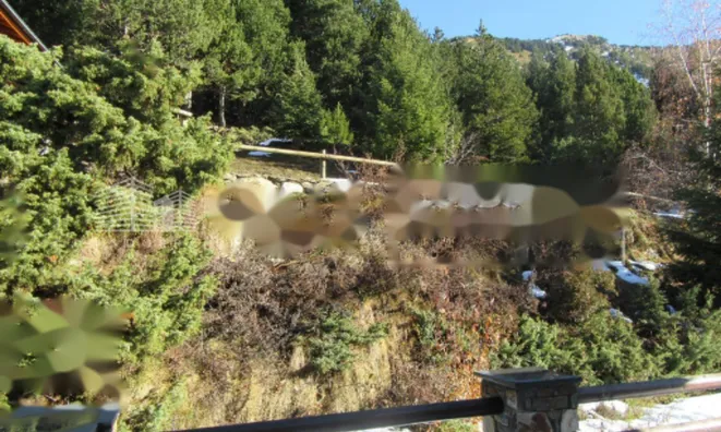 Недвижимость Magnificent large chalet in Canillo: 11