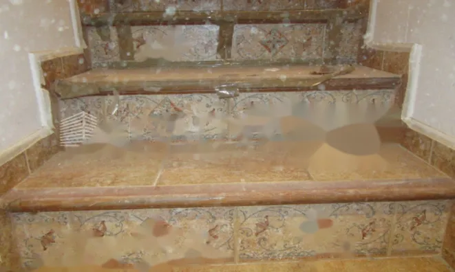 Недвижимость Magnificent large chalet in Canillo: 14