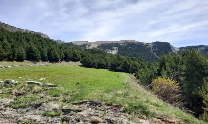 Недвижимость Townhouse for sale in Canillo with 3 bedrooms: 15