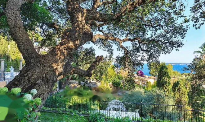 Недвижимость Villa Cannes: 7