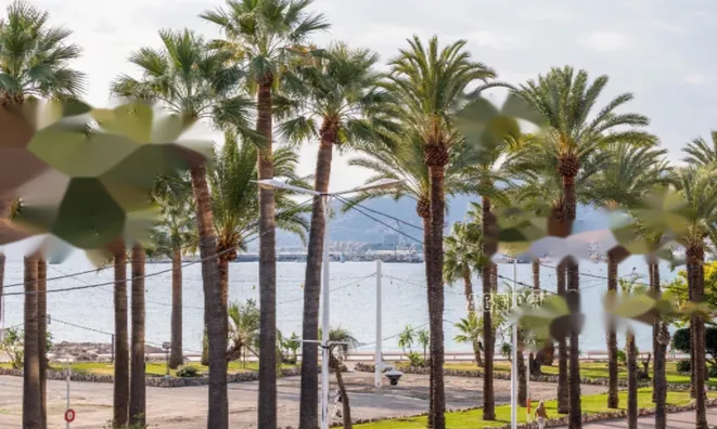 Недвижимость Apartment Pointe Croisette: 11