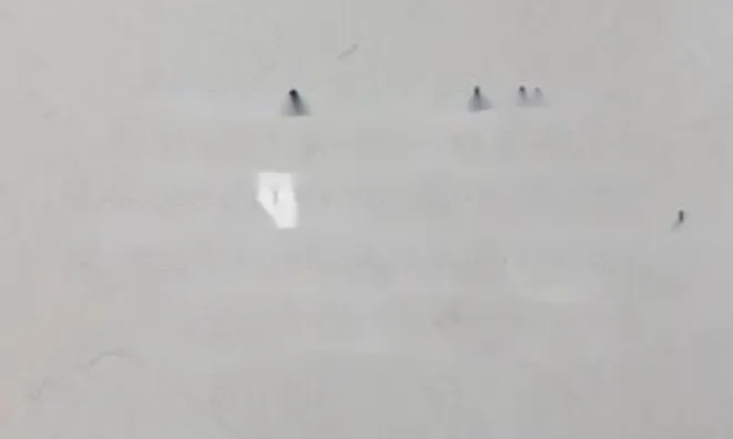 Недвижимость Apartment La Bocca: 9