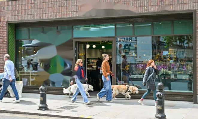 Недвижимость Elystan Place, Chelsea: 36