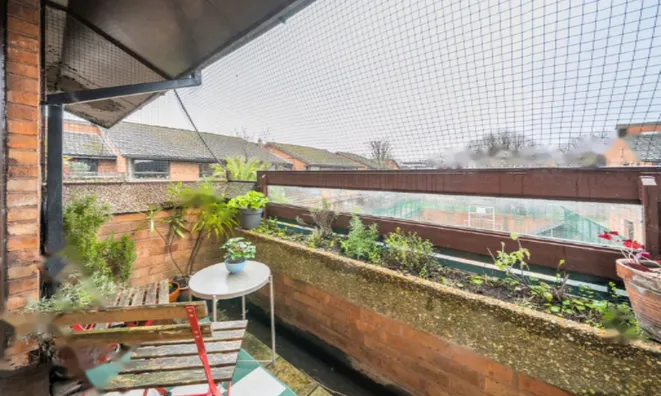 Недвижимость Don Phelan Close: 21