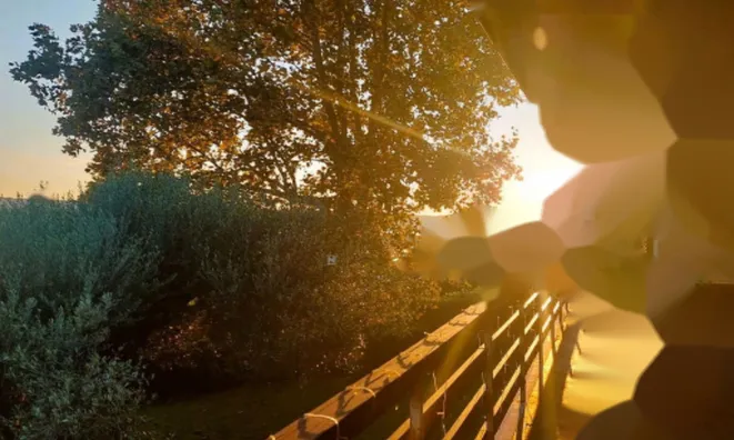 Недвижимость Дом, Сеча: 3