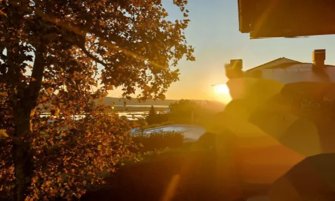 Недвижимость Дом, Сеча: 4