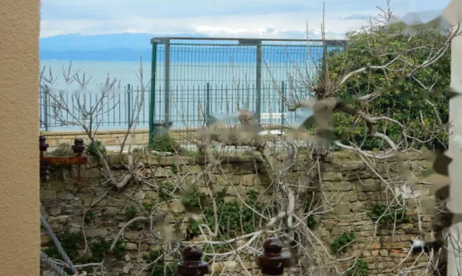 Недвижимость Дом с террасой Новый Пиран Центр: 11