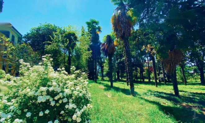 Недвижимость Дом, Порторож: 4