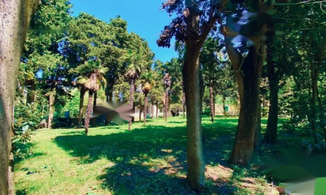 Недвижимость Дом, Порторож: 5