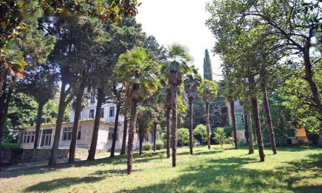 Недвижимость Дом, Порторож: 6