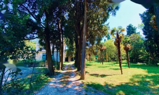 Недвижимость Дом, Порторож: 10