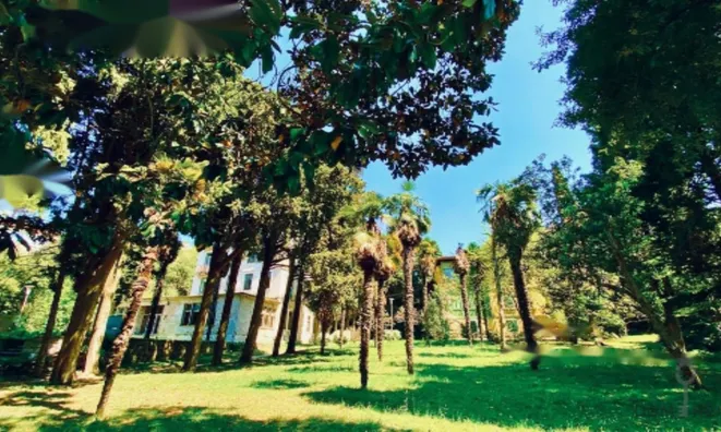 Недвижимость Дом, Порторож: 12