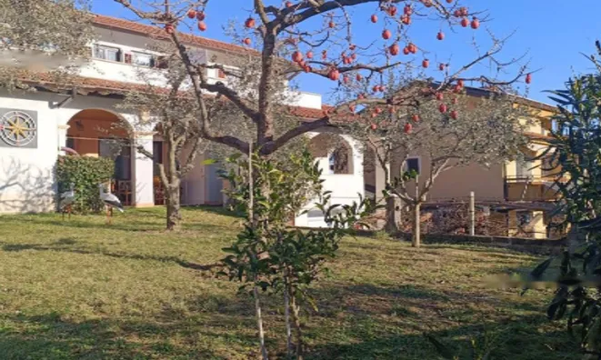 Недвижимость Дом с террасой Новый Ягодье: 12