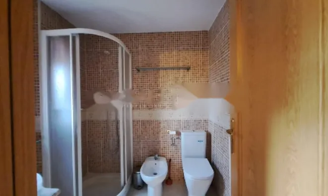 Недвижимость Furnished 1-bedroom apartment in La Pleta de Soldeu: 12