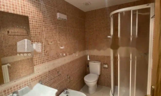 Недвижимость Furnished 1-bedroom apartment in La Pleta de Soldeu: 13