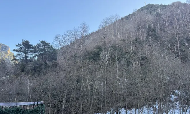 Недвижимость Apartment for sale in La Massana with 2 bedrooms: 2