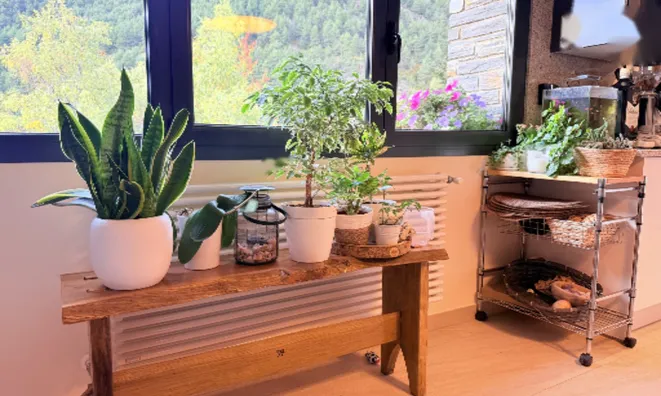 Недвижимость Chalet for sale in Anyós with 4 bedrooms: 13