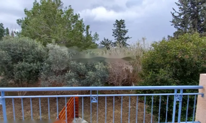 Недвижимость 3 Bedroom Detached house for Sale in Kato Pafos: 12