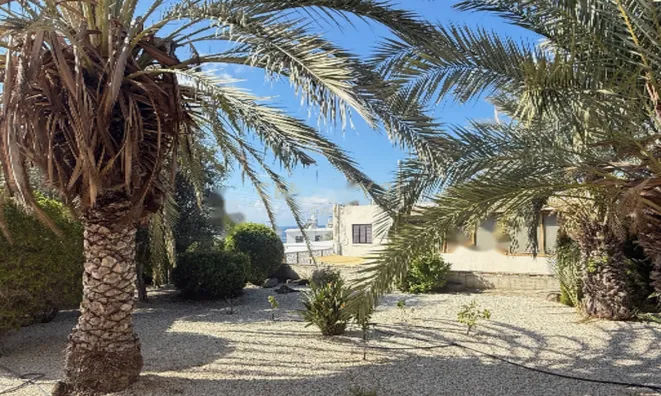 Недвижимость 3 Bedroom Apartment For sale in Kissonerga, Paphos: 18