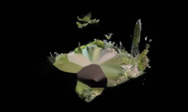 Недвижимость Maison Cannes: 24